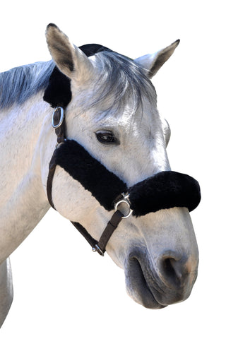 ECP Merino Sheepskin Fleece Halter Set – 4-piece Set