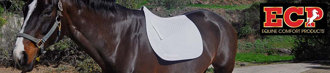 Saddle Pads