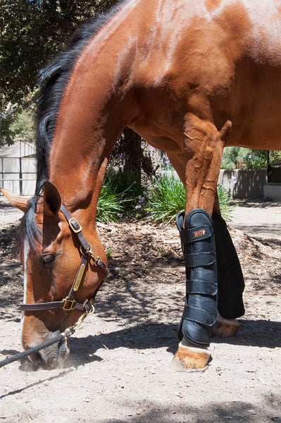 ECP Far Infrared Therapeutic Horse Leg Wraps