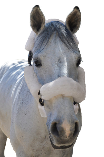 ECP Merino Sheepskin Fleece Halter Set – 6-piece Set