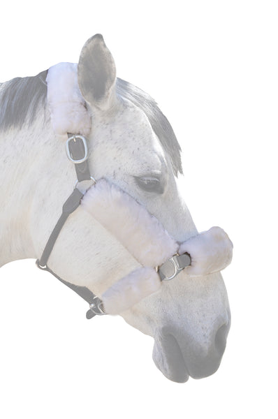 ECP Merino Sheepskin Fleece Halter Set – 6-piece Set