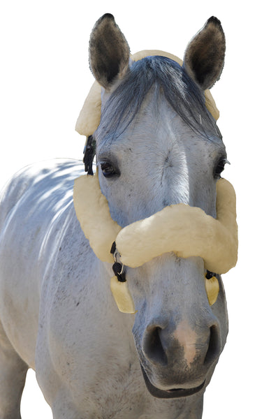 ECP Merino Sheepskin Fleece Halter Set – 6-piece Set