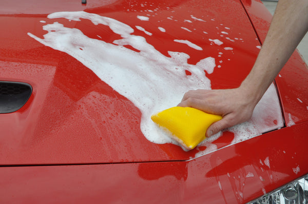 Detailer's Preference® Microfiber Bug Scrubber Sponge