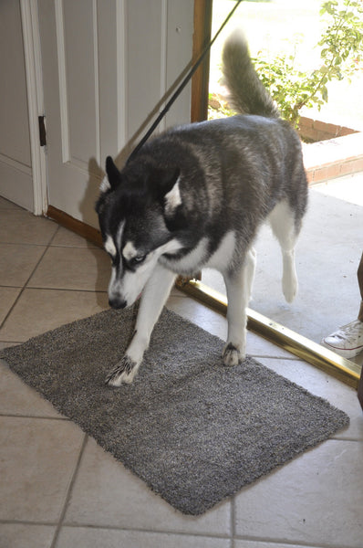 Trek N' Clean™ Super Absorbent Floor Mat