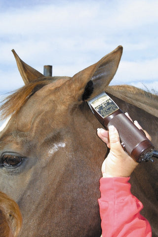 ECP Horse Ear Plugs