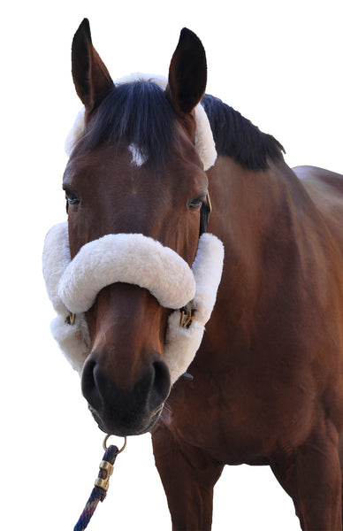 ECP Merino Sheepskin Fleece Halter Set – 9-piece Set