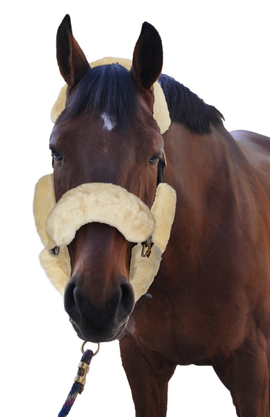 ECP Merino Sheepskin Fleece Halter Set – 9-piece Set