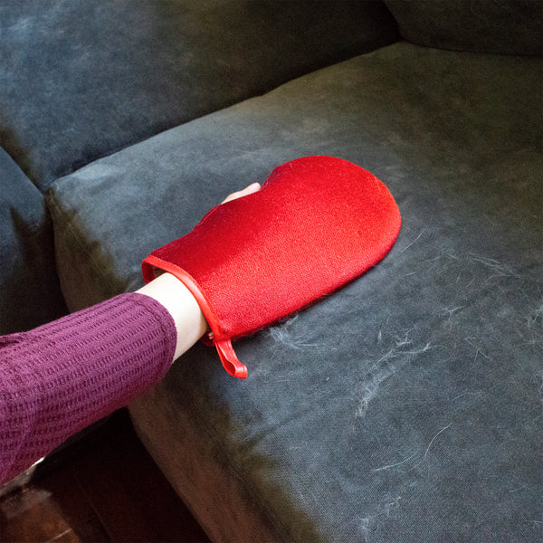 CleanAide® Pet Hair Removal Pick It Up Mitt – 2-pack