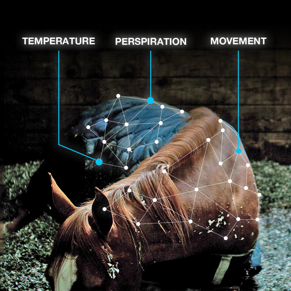 Orscana™ Bluetooth Equine Horse Monitor by Arioneo