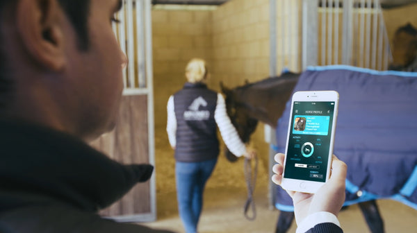 Orscana™ Bluetooth Equine Horse Monitor by Arioneo